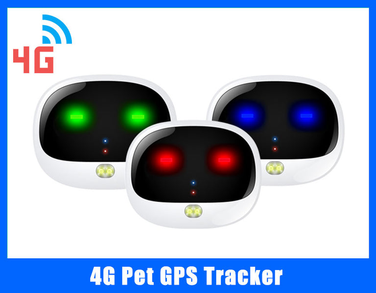 Quais recursos um melhor rastreador GPS para animais de estimação deve ter?