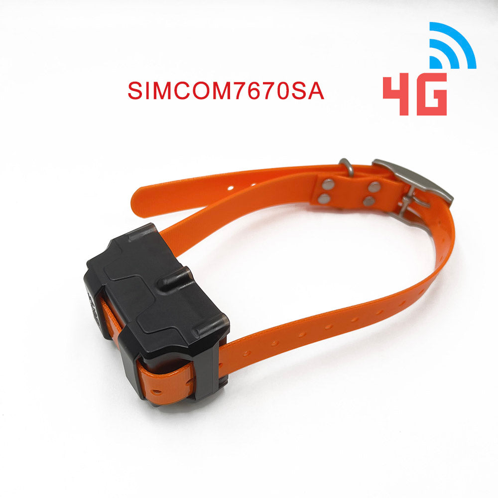 Tracking device for fashion dog collar